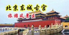 屄屌交片中国北京-东城古宫旅游风景区